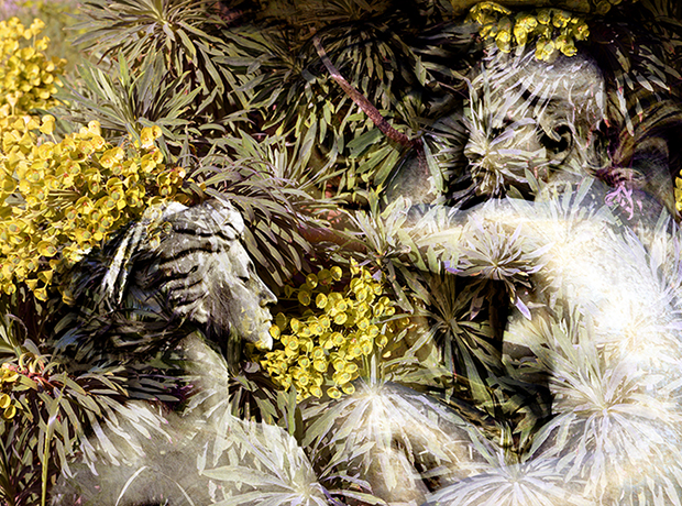 Désir fleuri